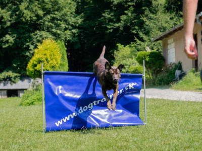 Dogtrainer na detskej železnici