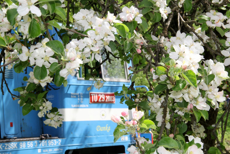  Slávnostné otvorenie sezóny