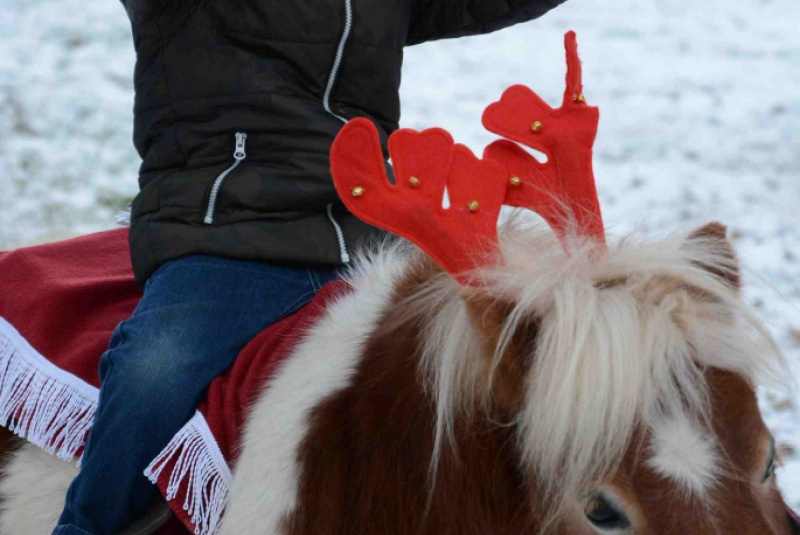  Mikulášske jazdy 2013