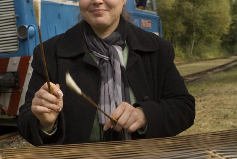  Deň železničky 2013