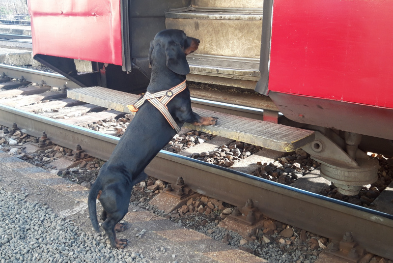  Prvý jarný expres do Markušoviec