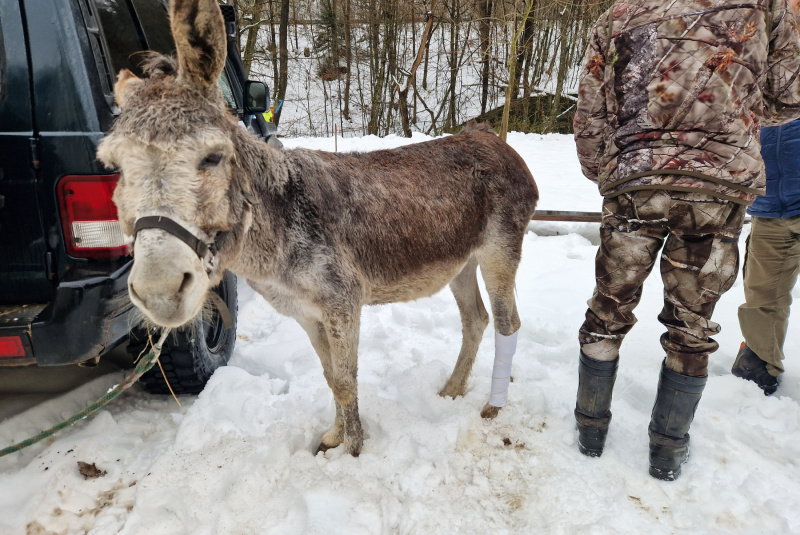 Najkrajší mikulášsky expres v Košiciach Najkrajší mikulášsky expres v Košiciach
