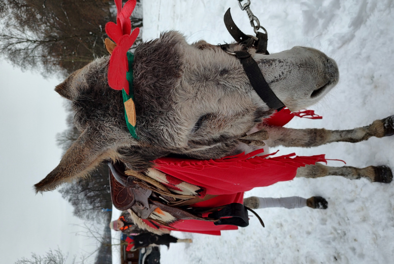 Najkrajší mikulášsky expres v Košiciach