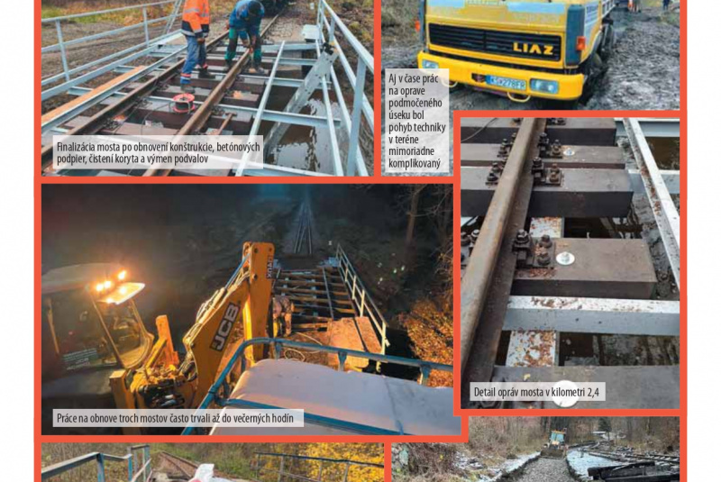 2022 / 2022/1 - foto