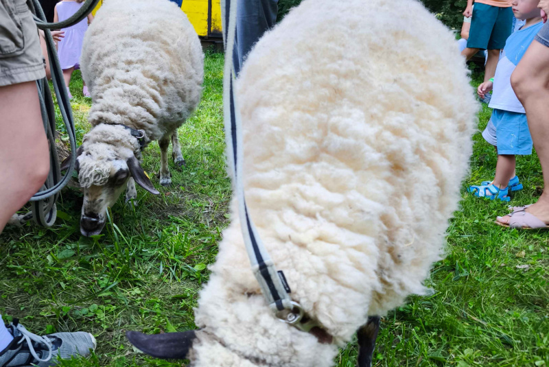 DNI PARNEJ NOSTALGIE DNI PARNEJ NOSTALGIE