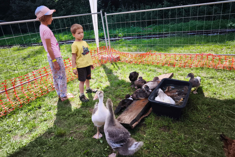 DNI PARNEJ NOSTALGIE DNI PARNEJ NOSTALGIE