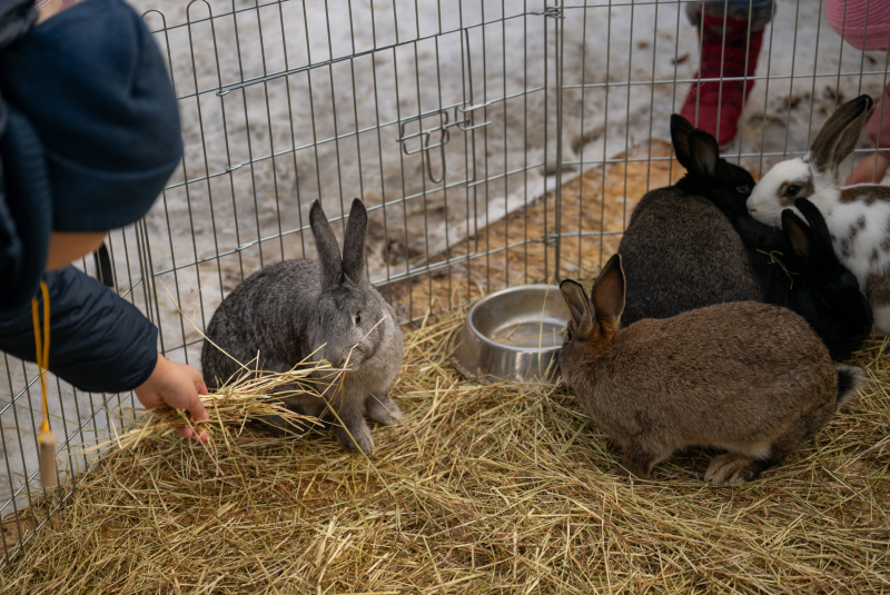  Mikulášske expresy v Čermeli 29.11. (foto VISIT KE)