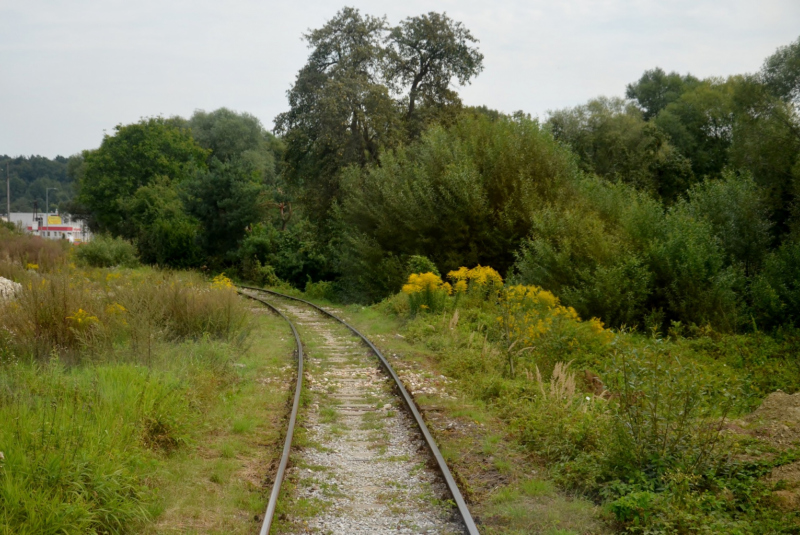 Vlakom na Bardejovský jarmok