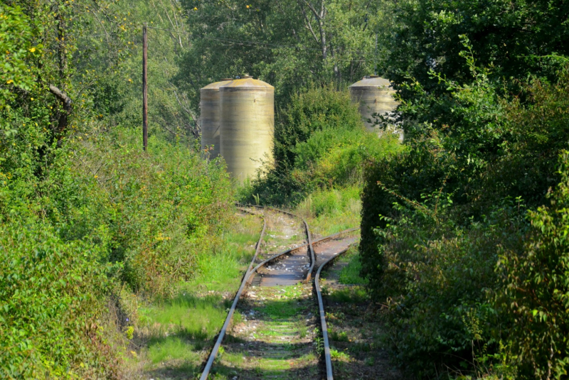 Vlakom na Bardejovský jarmok