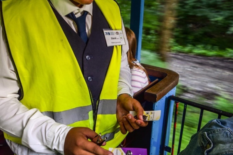 Letné kino: Vlastníci Letné kino: Vlastníci