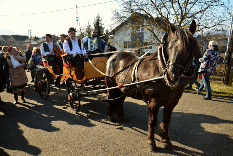 Vlakom na fašiangy na Tokaji Vlakom na fašiangy na Tokaji
