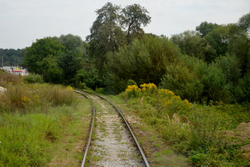 Vlakom na Bardejovský jarmok Vlakom na Bardejovský jarmok