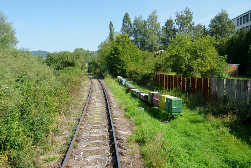 Vlakom na Bardejovský jarmok Vlakom na Bardejovský jarmok