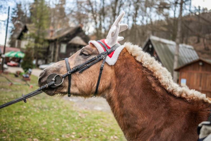 Mikuláš na detskej železnici 3.12.2016 Mikuláš na detskej železnici 3.12.2016