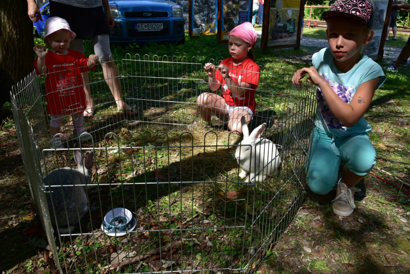 Deň železnice Deň železnice