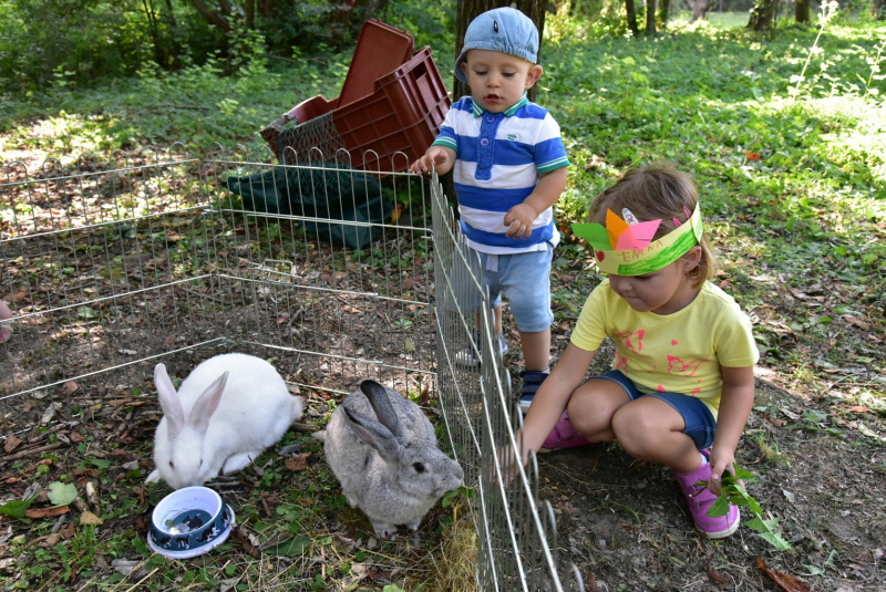 Deň železnice Deň železnice