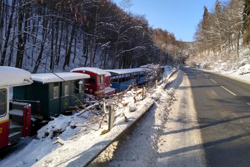 Kalamita s popadaným drevom na trati