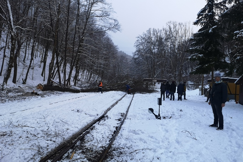 Kalamita s popadaným drevom na trati