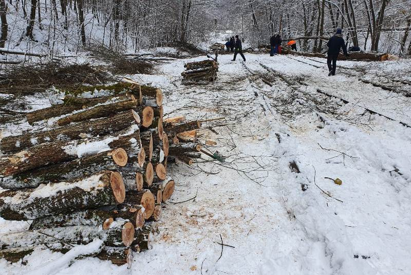 Kalamita s popadaným drevom na trati