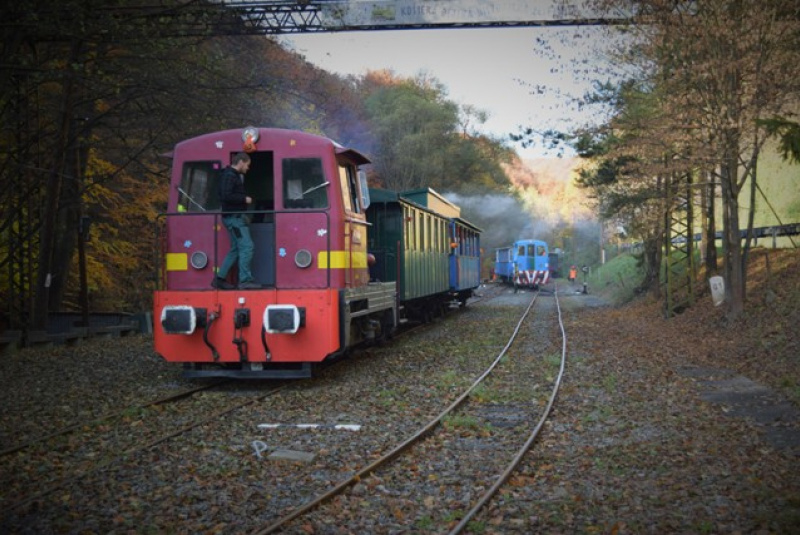 Tekvicová nedeľa Tekvicová nedeľa