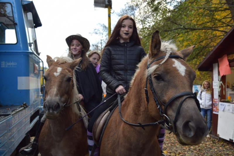 Tekvicová nedeľa Tekvicová nedeľa