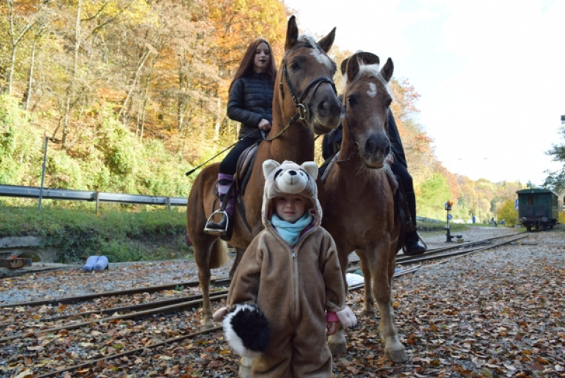 Tekvicová nedeľa Tekvicová nedeľa