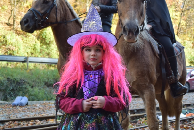 Tekvicová nedeľa Tekvicová nedeľa