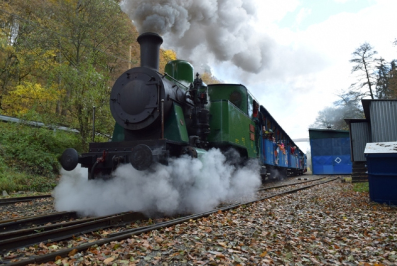 Tekvicová nedeľa Tekvicová nedeľa