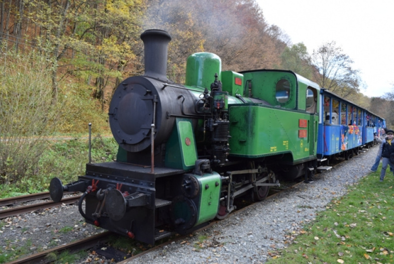 Tekvicová nedeľa Tekvicová nedeľa