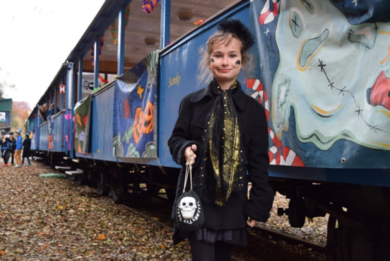 Tekvicová nedeľa Tekvicová nedeľa