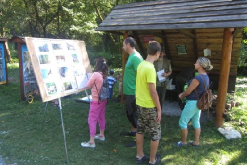 Ocko, poď sa s nami hrať Ocko, poď sa s nami hrať