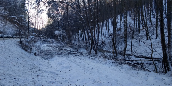 Kalamita s popadaným drevom na trati