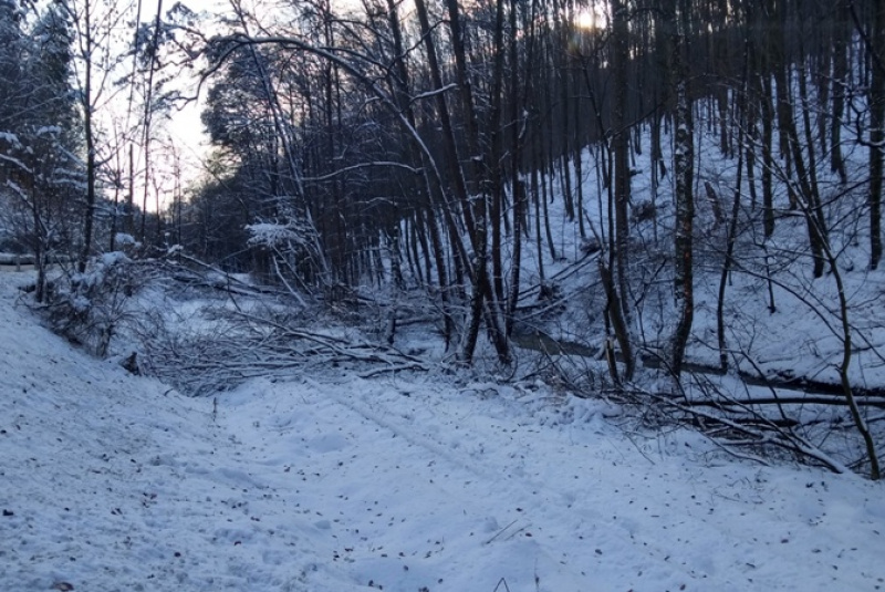  Kalamita s popadaným drevom na trati