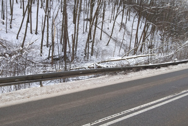  Kalamita s popadaným drevom na trati