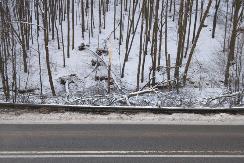  Kalamita s popadaným drevom na trati