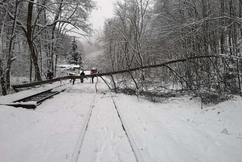  Kalamita s popadaným drevom na trati