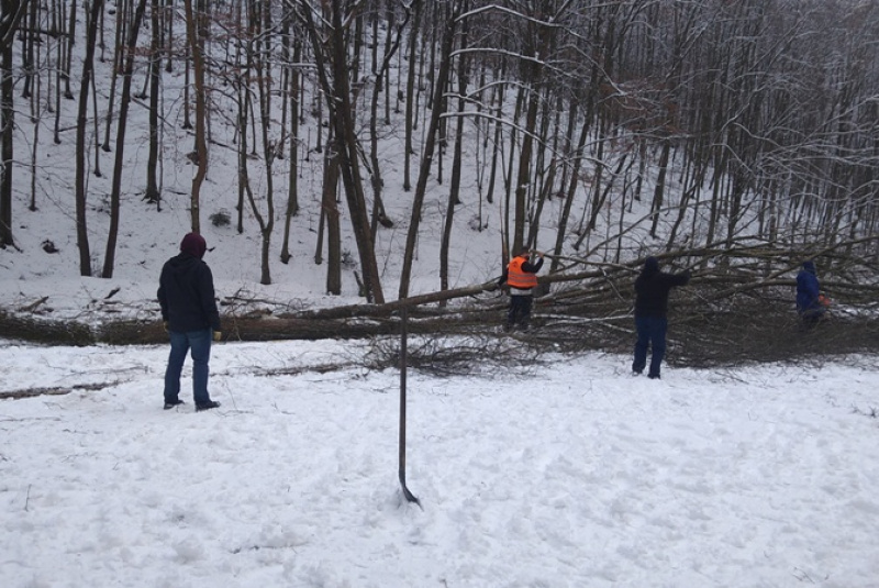  Kalamita s popadaným drevom na trati