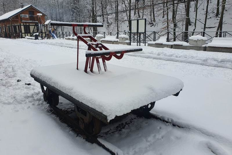  Kalamita s popadaným drevom na trati