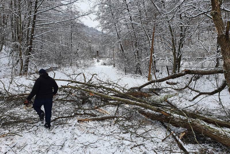  Kalamita s popadaným drevom na trati