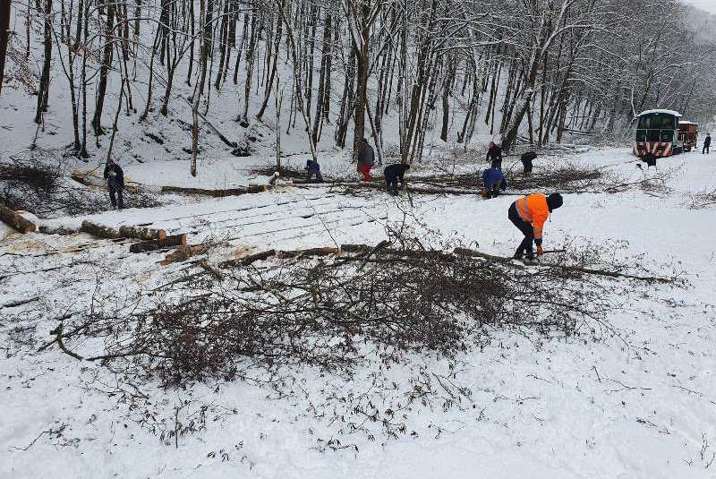  Kalamita s popadaným drevom na trati