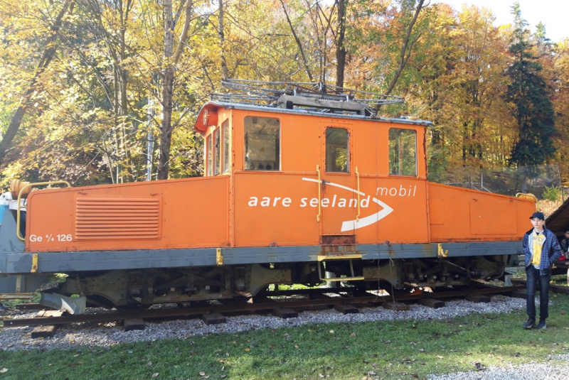  Krokodíl zo Švajčiarska