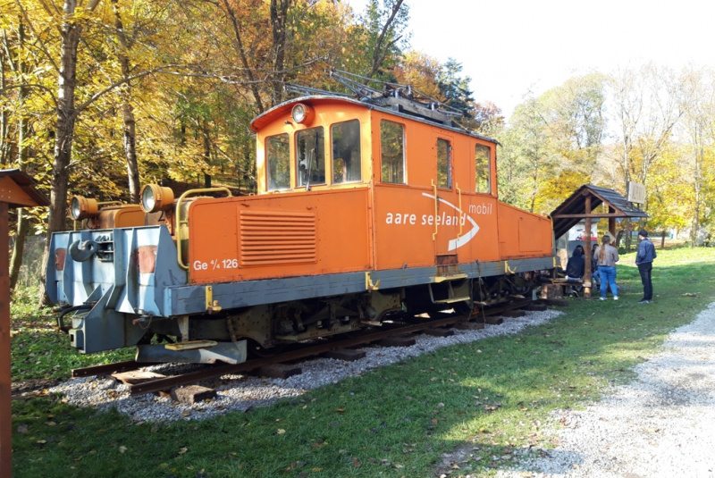  Krokodíl zo Švajčiarska