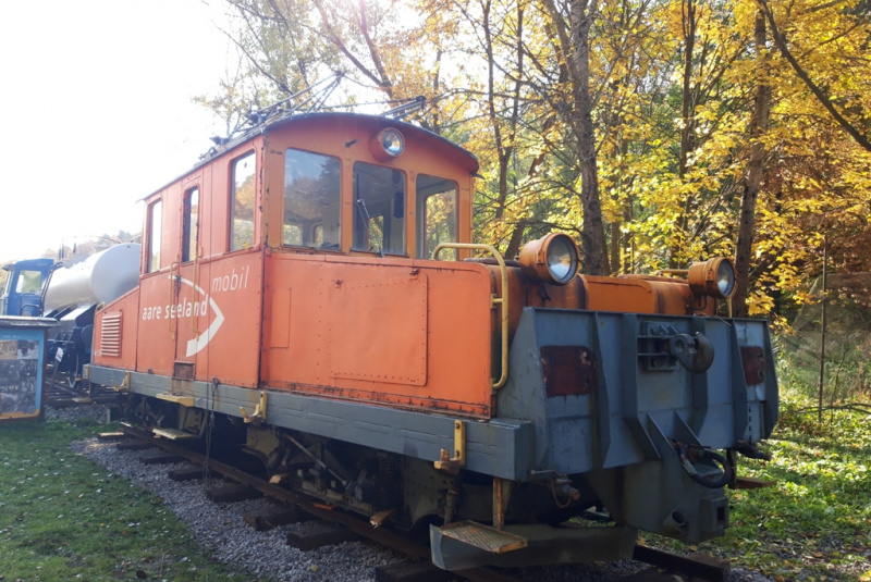  Krokodíl zo Švajčiarska