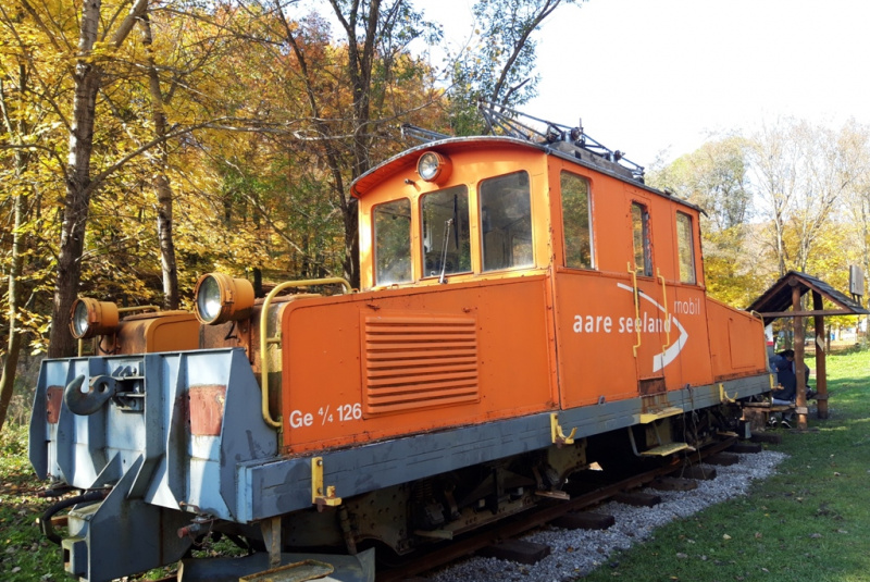  Krokodíl zo Švajčiarska