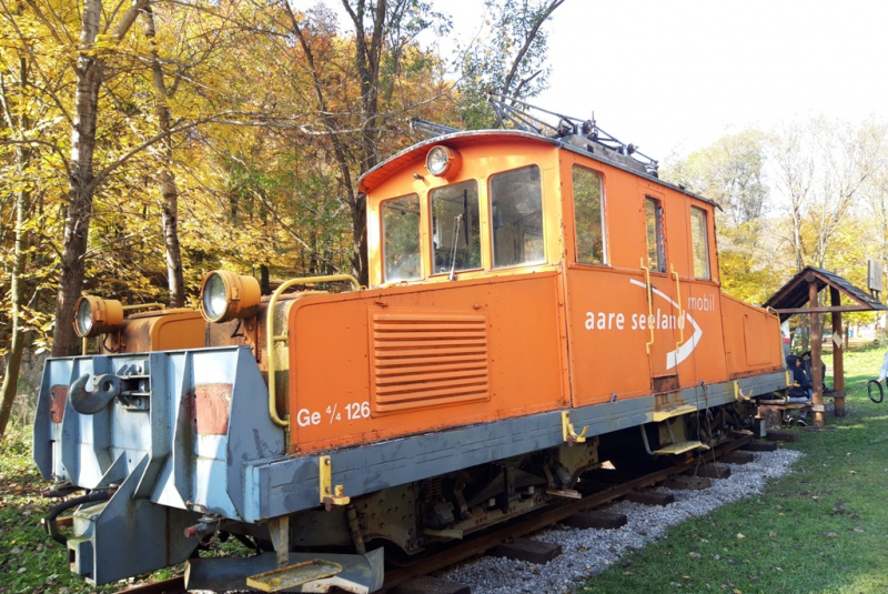  Krokodíl zo Švajčiarska