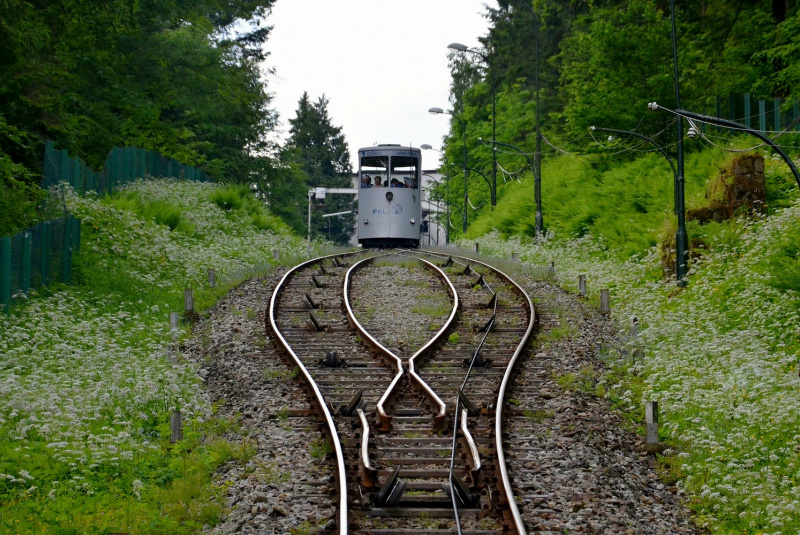 Vlakom do Krynice Vlakom do Krynice