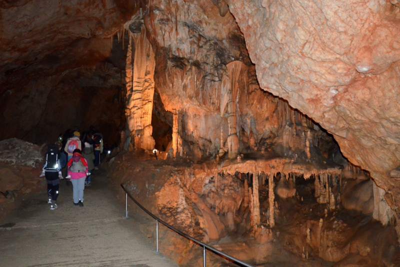  Vlakom za UNESCOM - Vlakom a retrobusom do Domice 17.11.2017