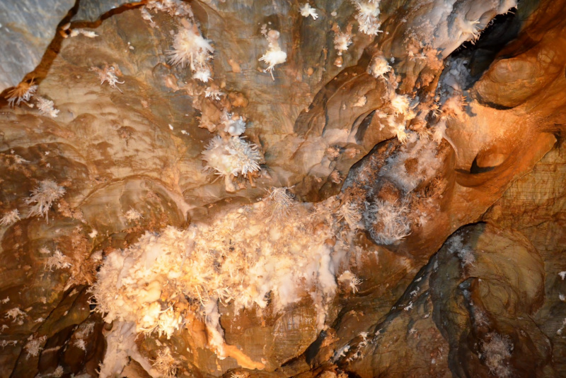  Vlakom za UNESCOM - Vlakom na Gemer 12.8.2017