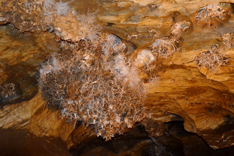  Vlakom za UNESCOM - Vlakom na Gemer 12.8.2017