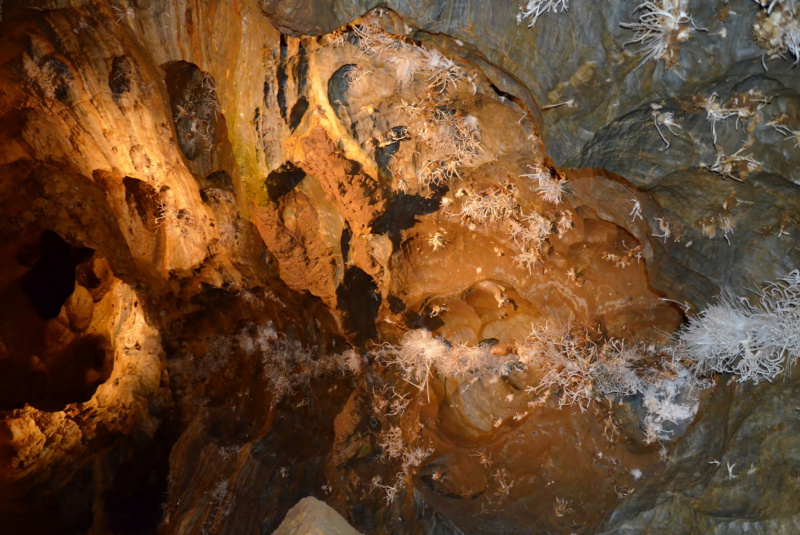  Vlakom za UNESCOM - Vlakom na Gemer 12.8.2017